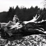 nude photography of woman on tree trunk 