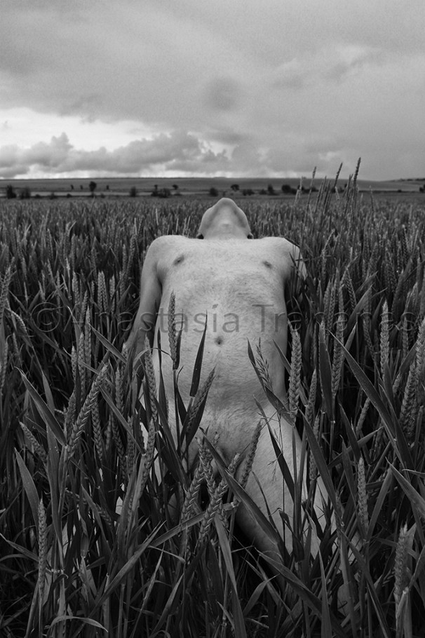 naked man in field