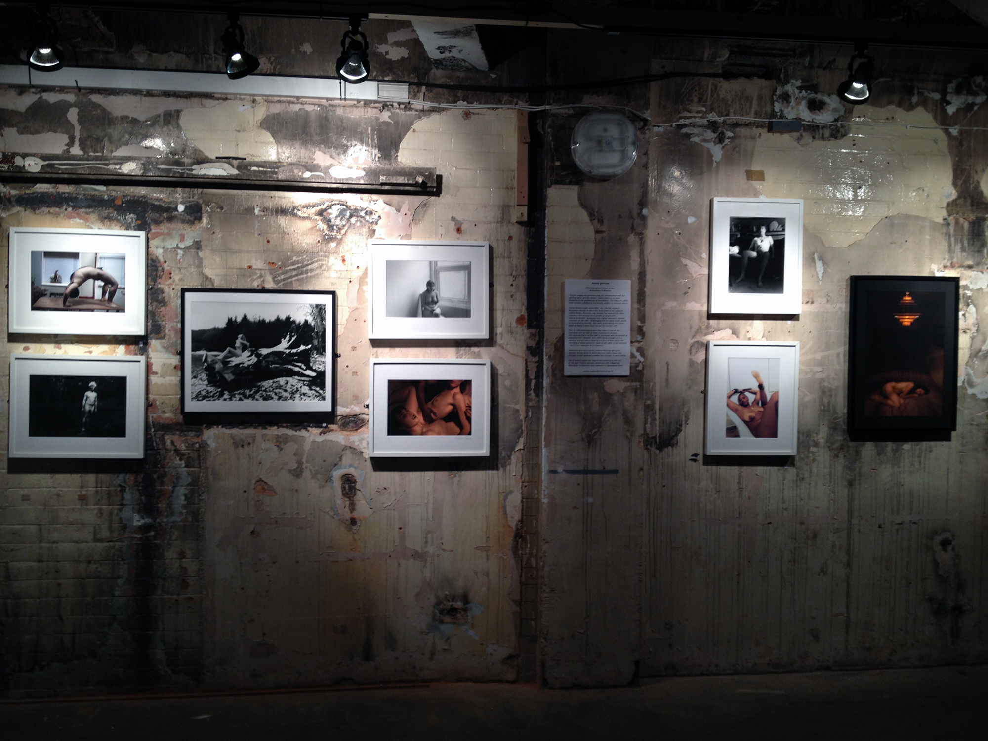 Anastasia Trahanas Exhibition Oxo Barge House, London